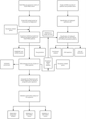 Classification of pyroptosis patterns and construction of a novel prognostic model for prostate cancer based on bulk and single-cell RNA sequencing